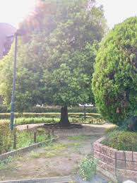 公園　関町南くすのき緑地（公園）まで195m