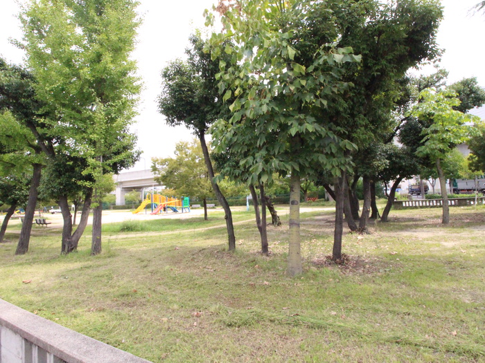 公園　公園（公園）まで700m