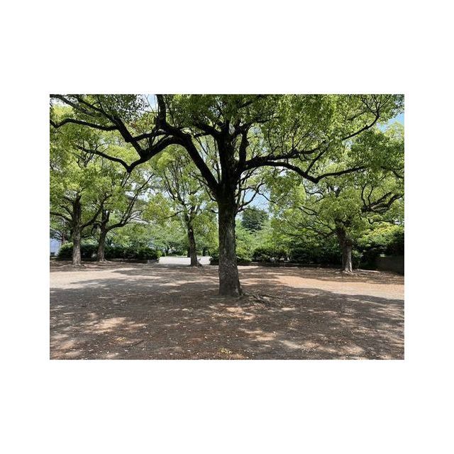 その他　等々力緑地（その他）まで465m
