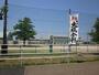 小学校　新潟市立白根小学校（小学校）まで1506m