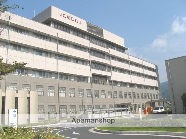 病院　柏原市立柏原病院（病院）まで689m