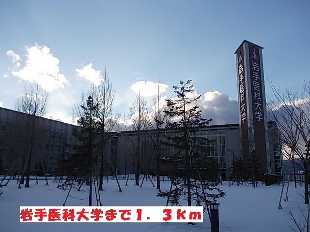 大学・短大　岩手医科大学（大学・短大）まで1300m