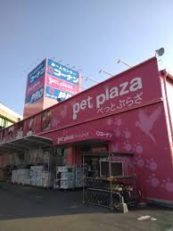 ホームセンター　コーナンPRO(プロ) 一宮店（ホームセンター）まで1902m