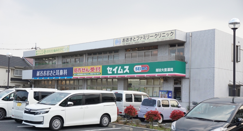 ドラックストア　セイムス越谷大里薬局（ドラッグストア）まで155m