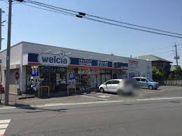 ドラックストア　ウエルシア毛呂本郷店（ドラッグストア）まで288m
