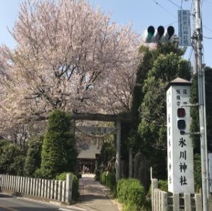 その他　長宮氷川神社（その他）まで450m