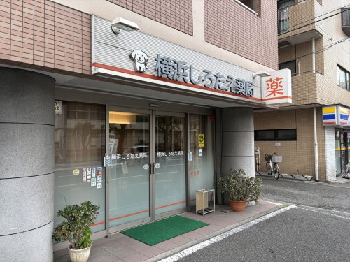 ドラックストア　横浜しろたえ薬局（ドラッグストア）まで148m