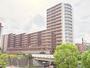 建物外観　大規模分譲マンション