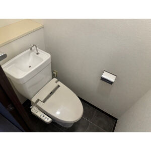 その他　※他部屋の写真を使用しているため多少異なる部分がある可能性が