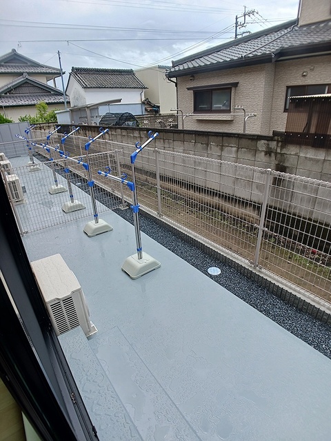 庭
