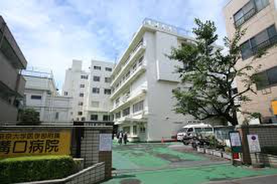 病院　帝京大学医学部附属溝口病院（病院）まで818m