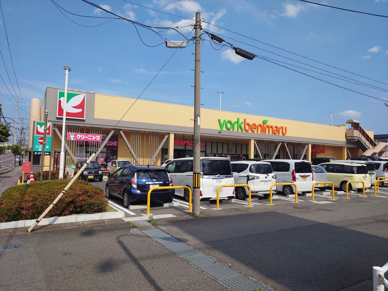 スーパー　ヨークベニマル菜根店（スーパー）まで1153m