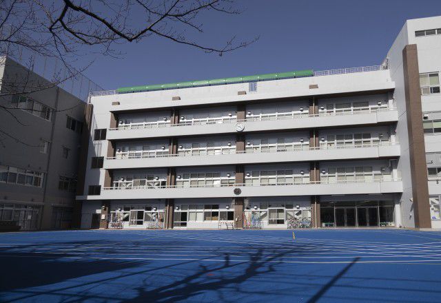 小学校　台東育英小学校（小学校）まで161m