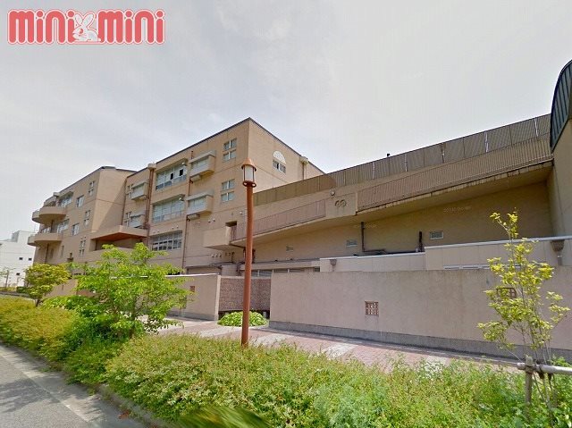 小学校　神戸市立だいち小学校（小学校）まで1600m