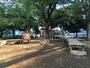 公園　妙正寺公園★（公園）まで495m