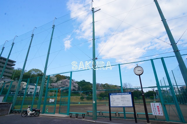 その他　神の木公園野球場（その他）まで917m