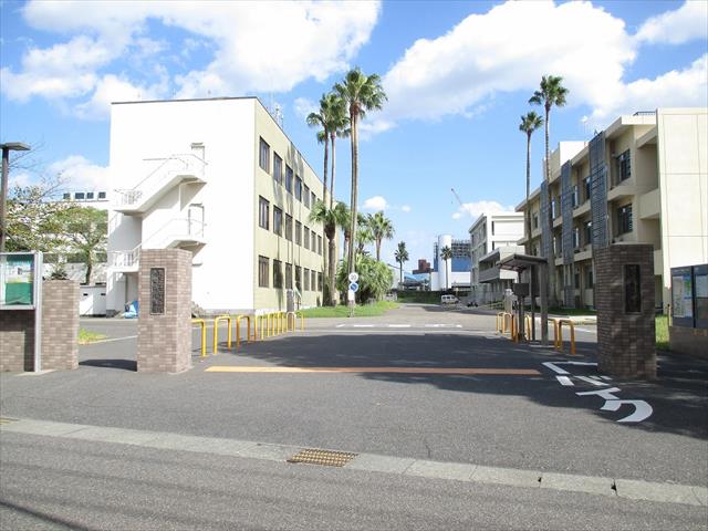 大学・短大　鹿児島大学郡元地区（大学・短大）まで252m