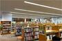 図書館　八尾市立八尾図書館（図書館）まで233m