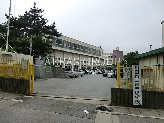 小学校　川口市立慈林小学校（小学校）まで850m