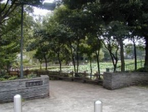 公園　菊名池公園（公園）まで750m