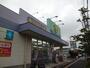 ドラックストア　ウェルパーク日野栄町店（ドラッグストア）まで1073m