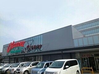スーパー　オークワ本社中島店様（スーパー）まで850m