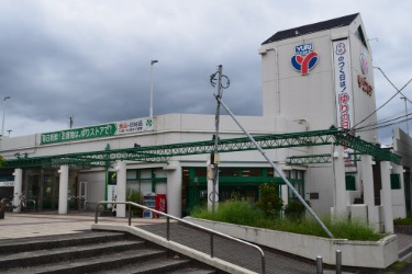 スーパー　ゆりストア　星ヶ丘店（スーパー）まで1013m