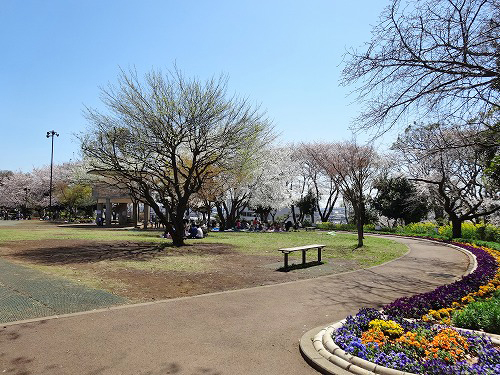 公園　夢見ケ崎公園（公園）まで1010m