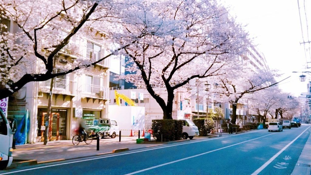 その他　桜台駅(西武 池袋線)（その他）まで860m
