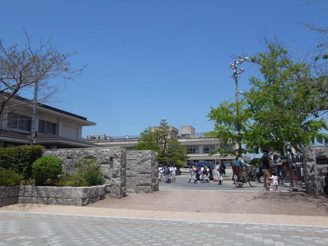 小学校　観音小学校（小学校）まで774m