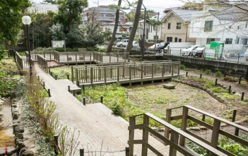公園　上野毛自然公園（公園）まで115m
