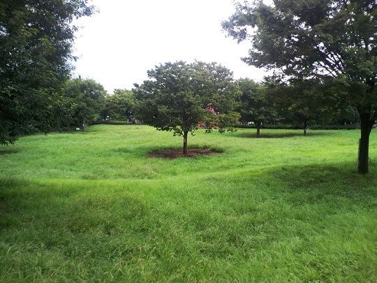 公園　祖師谷公園（公園）まで650m