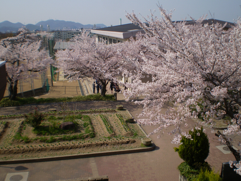 中学校　花田中学校（中学校）まで1430m