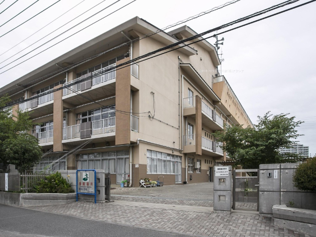 小学校　三郷市立新和小学校（小学校）まで159m