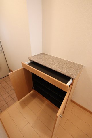 収納　シューズボックス