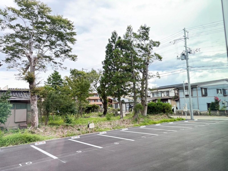 ArtemisBのその他写真