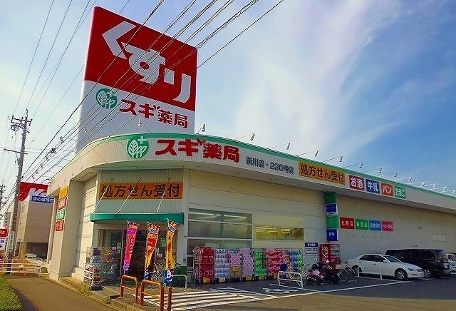 その他　スギ薬局まで450m