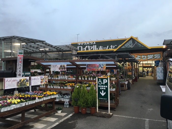 ホームセンター　ロイヤルホームセンター梶ヶ谷店（ホームセンター）まで389m