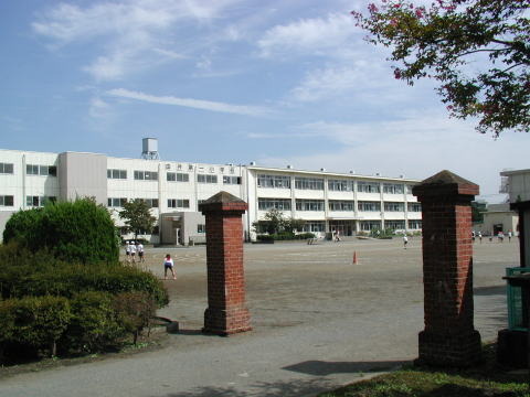 小学校　八王子市立由井第一小学校（小学校）まで753m
