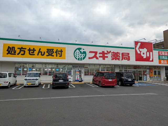 ドラックストア　スギ薬局川口新郷店（ドラッグストア）まで981m