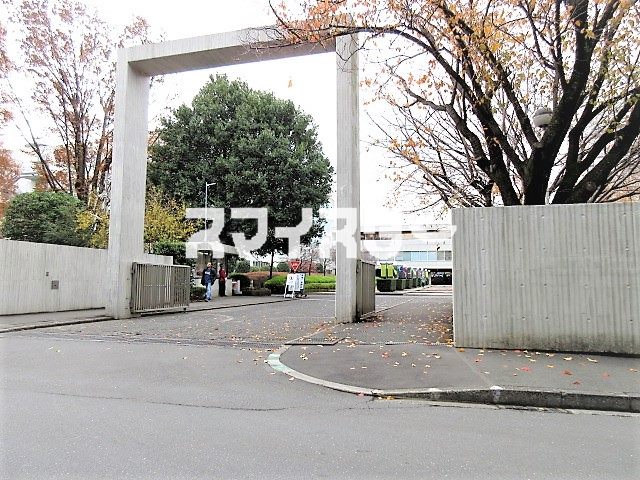 大学・短大　武蔵野美術大学（大学・短大）まで2054m
