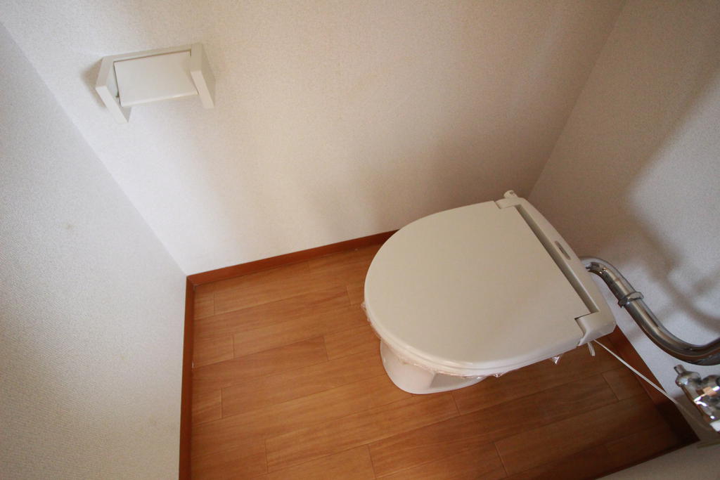 ＪＲ牟岐線 阿波富田駅 徒歩18分 4階建 築38年のトイレ写真