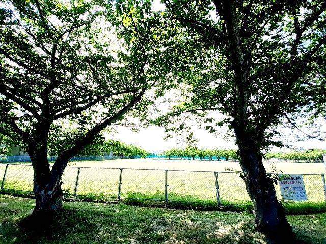 公園　厚原スポーツ公園（公園）まで500m