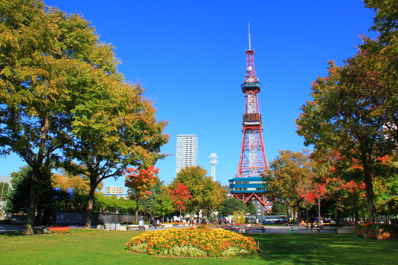 公園　大通公園（公園）まで423m