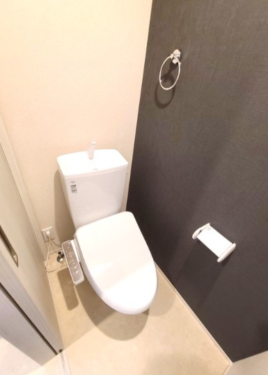 ＪＲ相模線 海老名駅 徒歩18分 3階建 築3年のトイレ写真