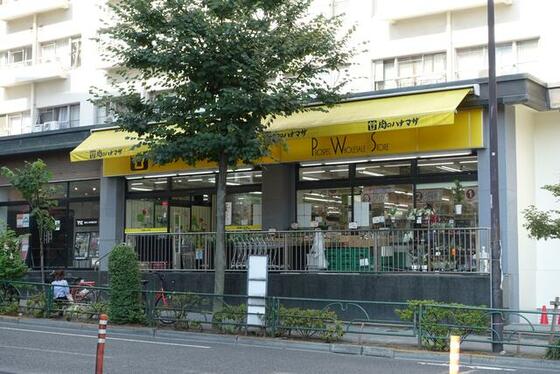 目白クイーンズコートの周辺写真