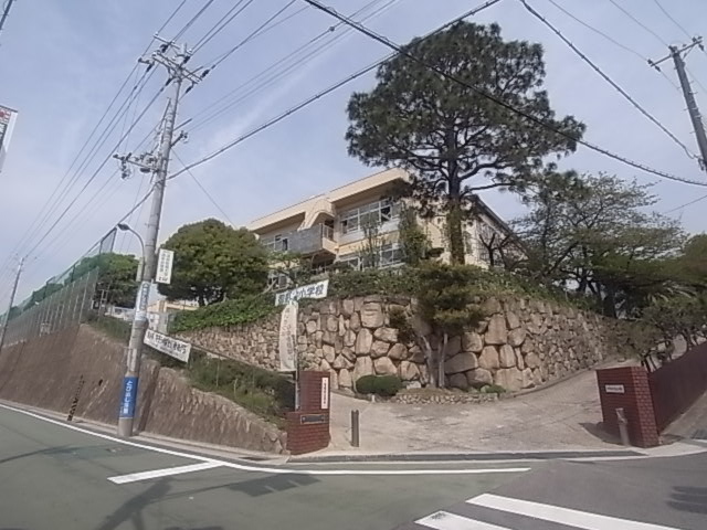 小学校　神戸市立御影北小学校（小学校）まで488m