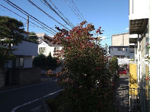 眺望　1～5号室側