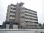 日向市駅より徒歩28分 5階 築13年9ヶ月の賃貸物件