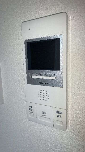 マイコスモスのその他写真